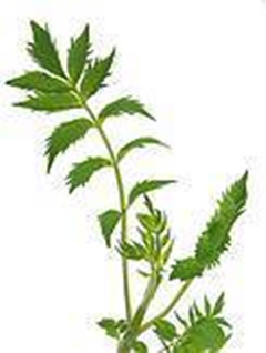 ���Ͻ��~����-�i�ݸ���ȡ��